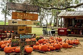 A rite of October — the Partin Corn Maze (and other fall fun stuff) is back open the weekends down on Old Canoe Creek Road just past Wild Florida.