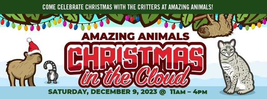 Christmas in the Cloud at Amazing Animals is one of a handful of holiday events occurring in St. Cloud this week.