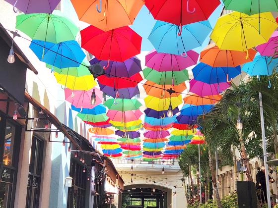 Have you seen the umbrellas of Kissimmee? Hint, they're downtown along Broadway ... you can't miss them. PHOTO/KEN JACKSON